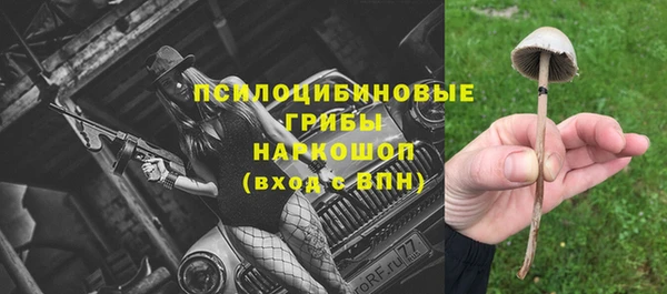 амф Магас
