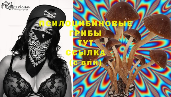 экстази Липки